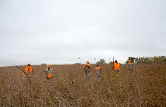 Iowa’s pheasant season opens Oct. 28 with plenty of birds expected in top regions – Outdoor News