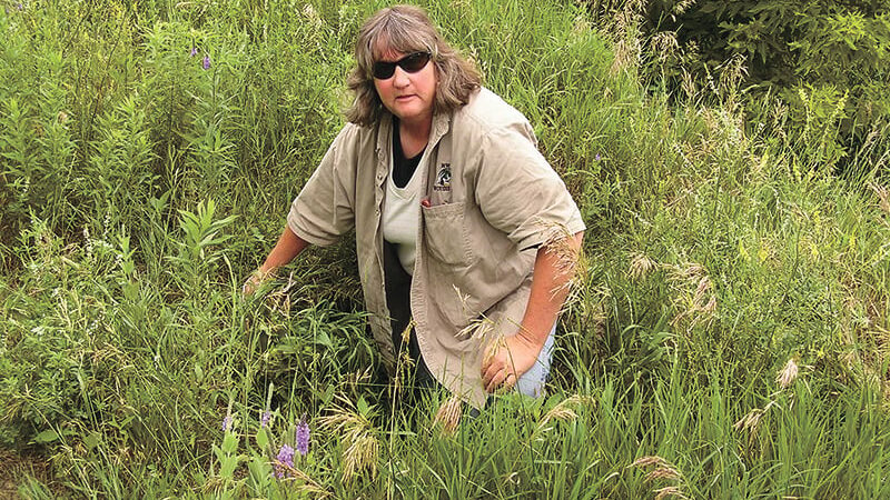 Jeanine Vorland, Minnesota DNR’s first female area wildlife supervisor, reflects on three decades as manager – Outdoor News