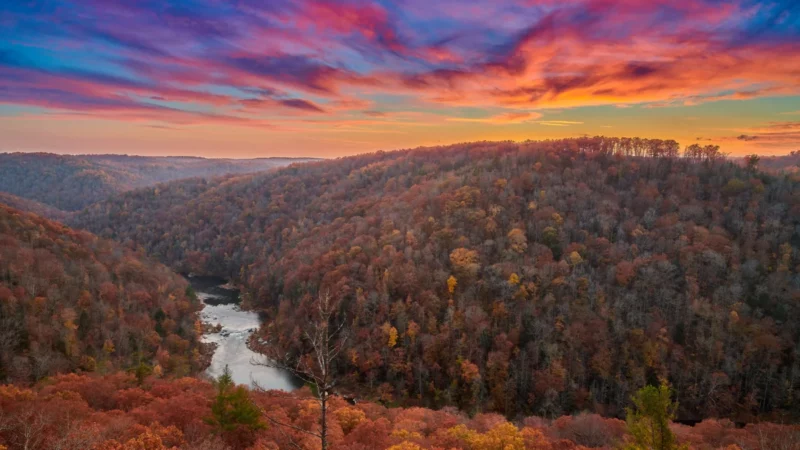 Looking for Fall Foliage? Great Smoky Mountain National Park Wants You to Look Elsewhere