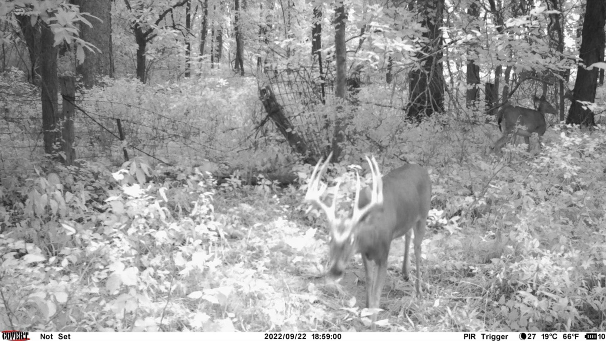 missouri hunter giant buck private land permission 2