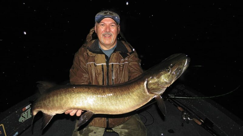 MN Daily Update: Here’s how to catch fall muskies – Outdoor News