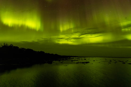 Nature Smart: Nature’s spectacular Northern lights – Outdoor News