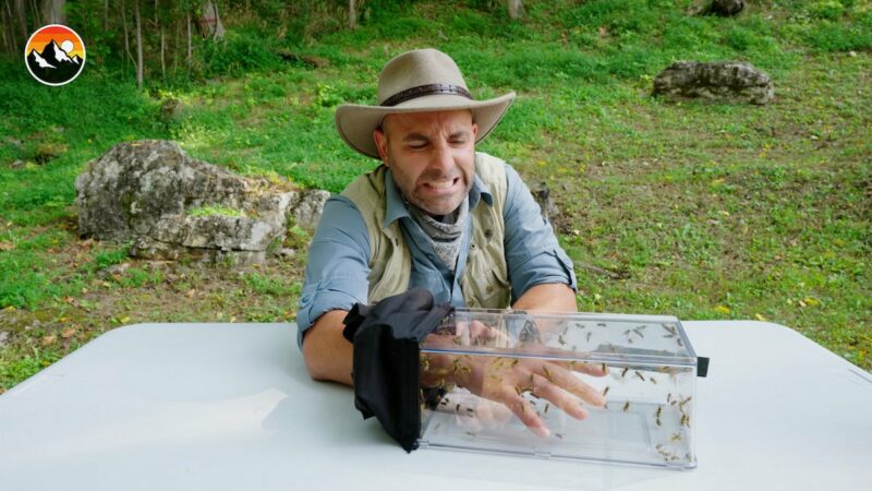 Nature’s Worst Bites and Stings, As Told by Coyote Peterson