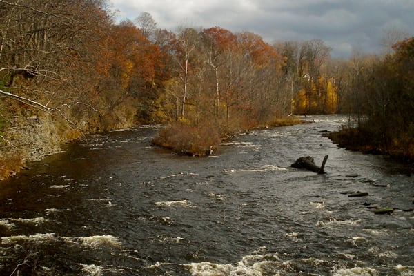New York DEC: Salmon River fish spearing legal in certain cases – Outdoor News