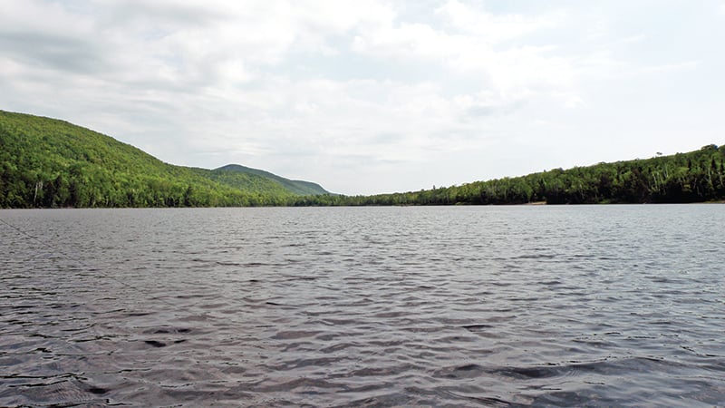 New York’s Adirondack Park Agency holding public hearings on classifying 5,800 acres – Outdoor News