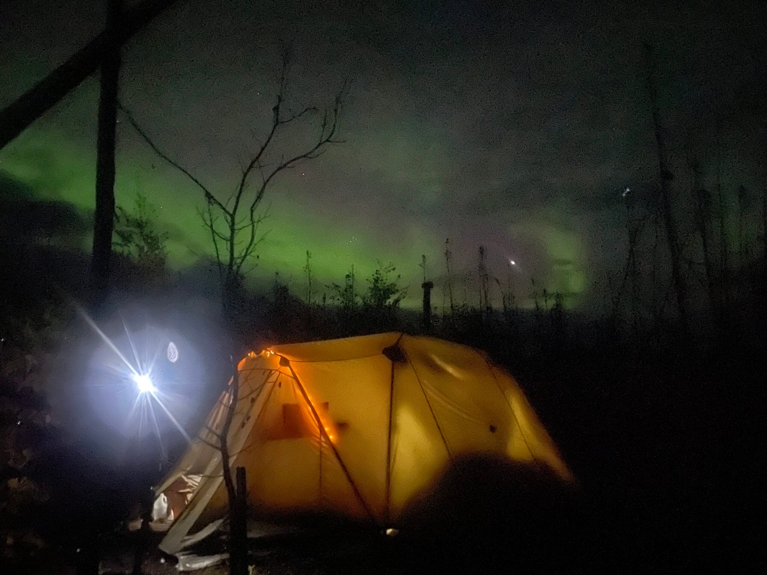 moose camp at night