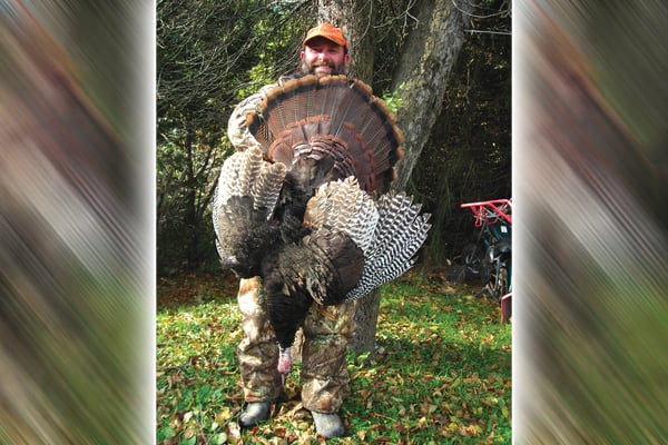 Run them down: Pursuing flocks of turkeys is an enjoyable fall challenge – Outdoor News