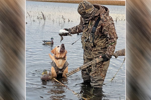 Setting sights on a waterfowl hunt at Michigan’s Nayanquing Point – Outdoor News