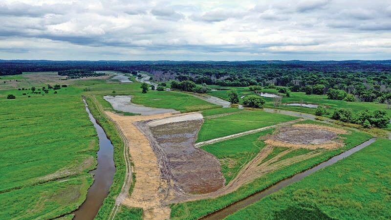 Small wetlands project enhances habitat of New York’s Montezuma Wetlands Complex – Outdoor News