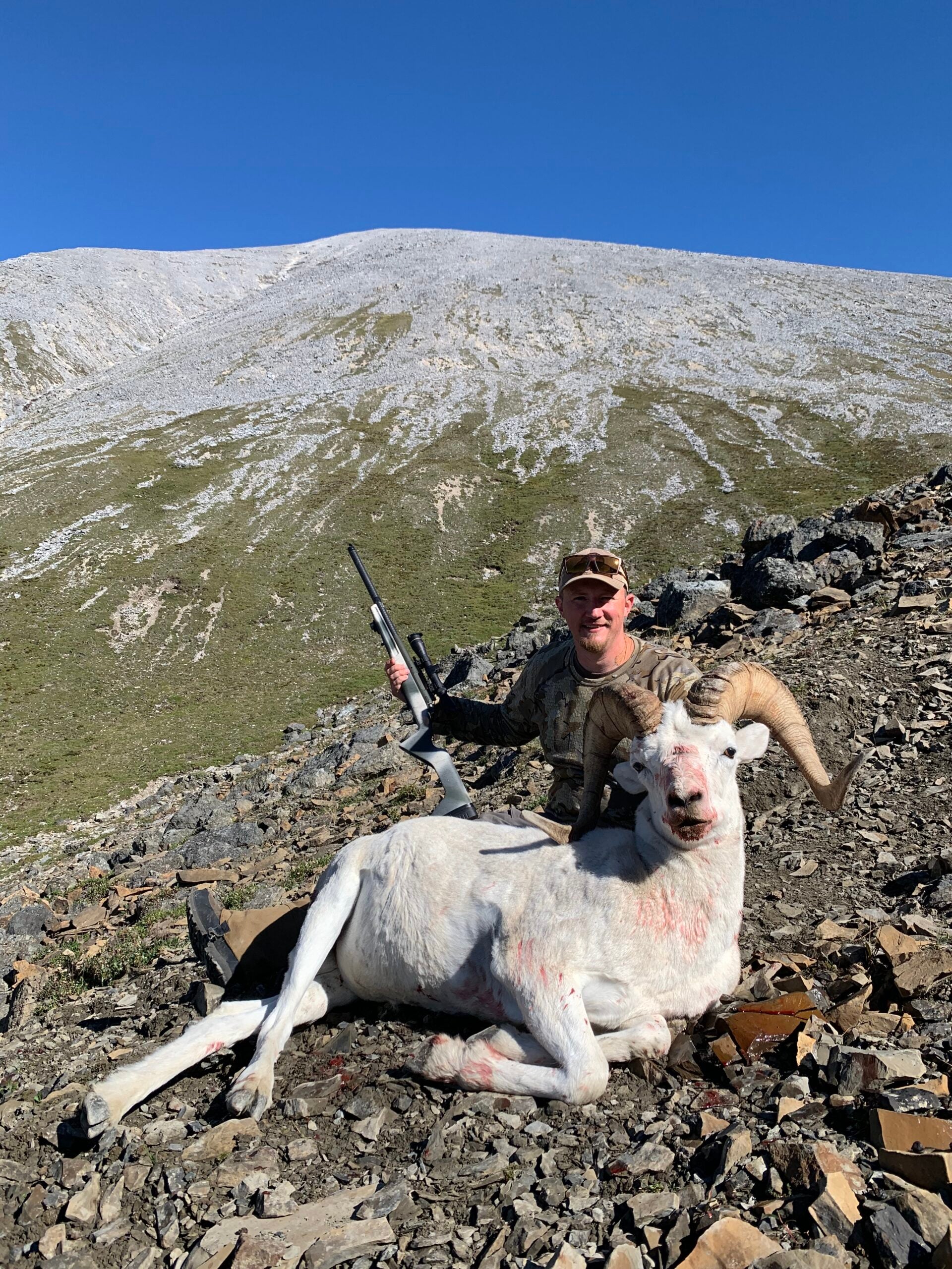 Freel Dall sheep 2020 redline rifle