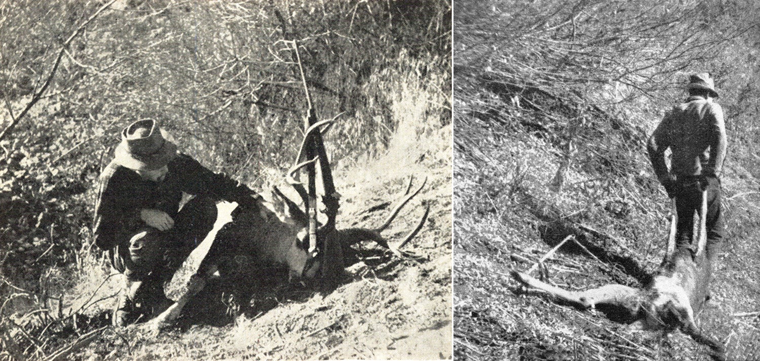 hunter bends down to inspect dead mule deer buck; second hunter drags doe back to camp