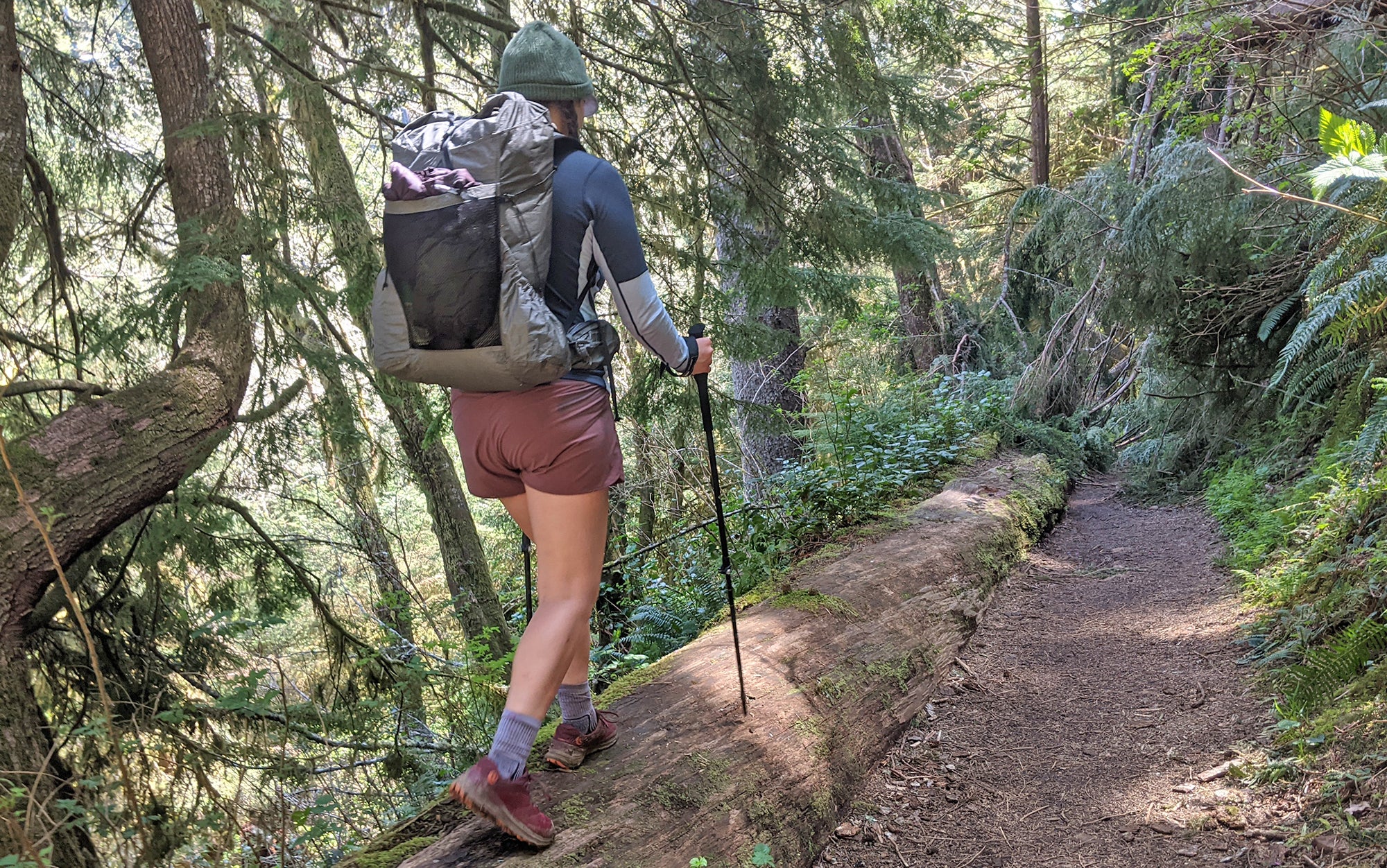 The author uses CMTâs sturdy and reliable value trekking poles to balance on a log.