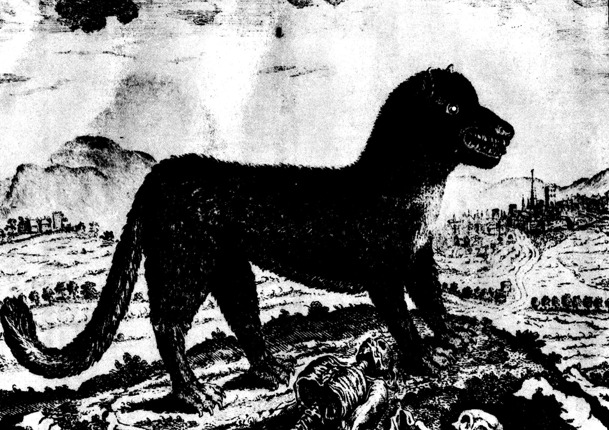 A black and white depiction of the Beast of GÃ©vaudan.
