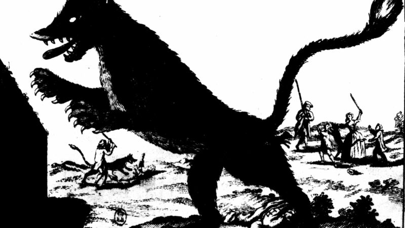 The Mysterious Man-Eating Beast of Gévaudan, and the Hunters Who Killed It