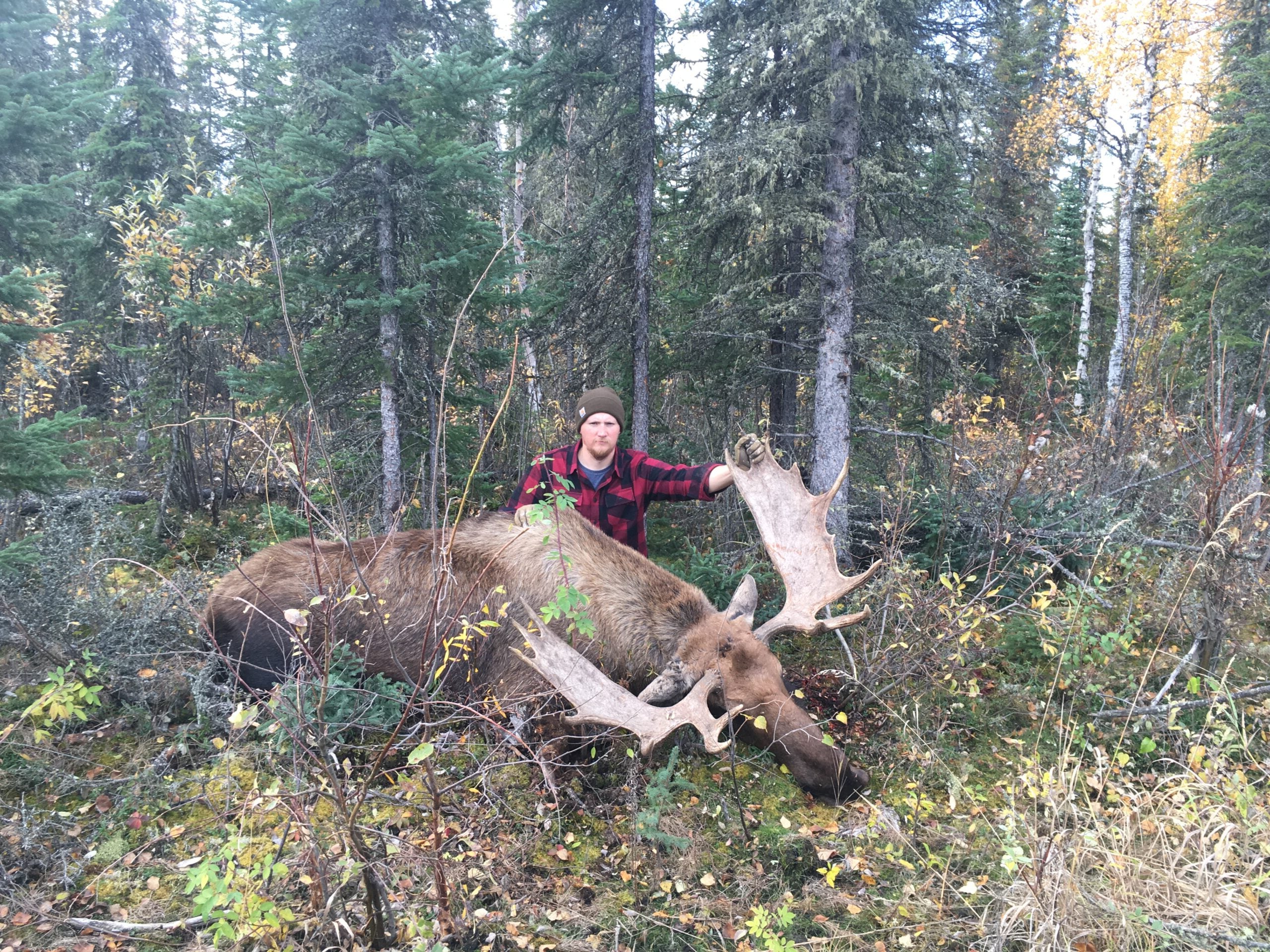 Freel with 6.5 moose