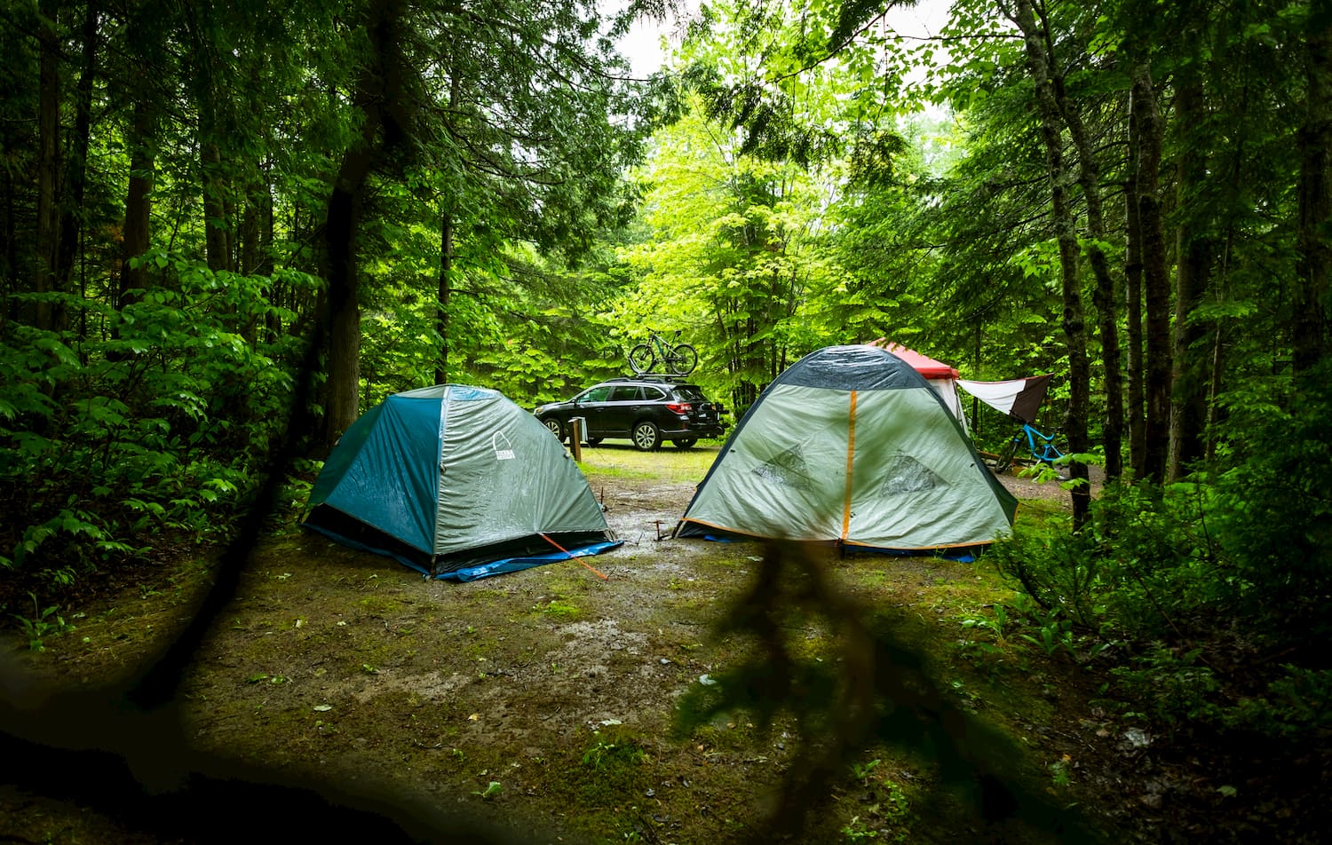 Car parked in the forest beside two tents.