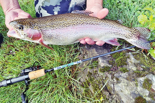 Trout coming to RAPP Park in Shenandoah, Iowa, this Saturday – Outdoor News