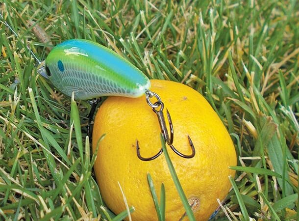 Try this orange test for sticking fish hooks – Outdoor News