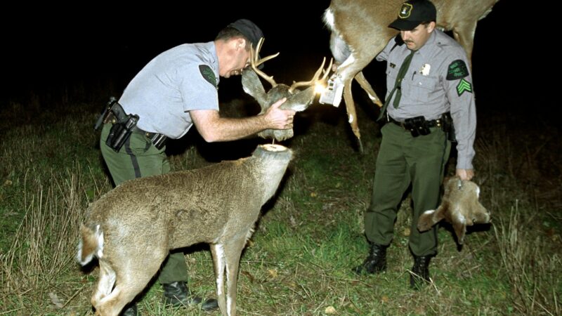 Vermont Poacher Required to Forfeit His Car After Shooting Fake Deer