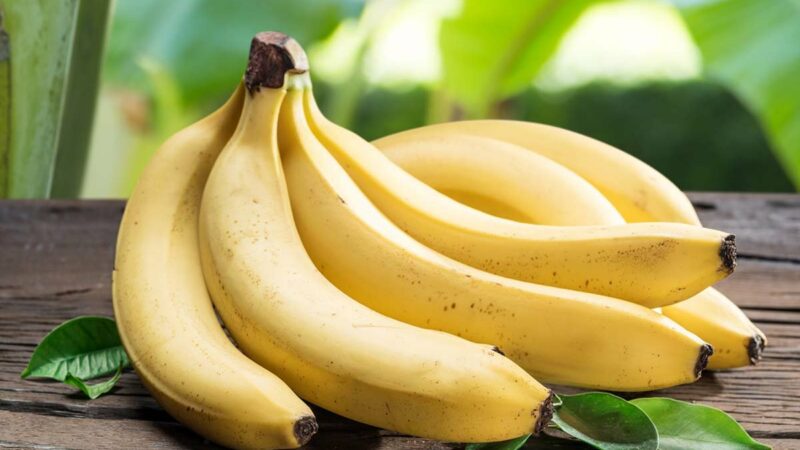 Wait, Are Bananas Going Extinct?