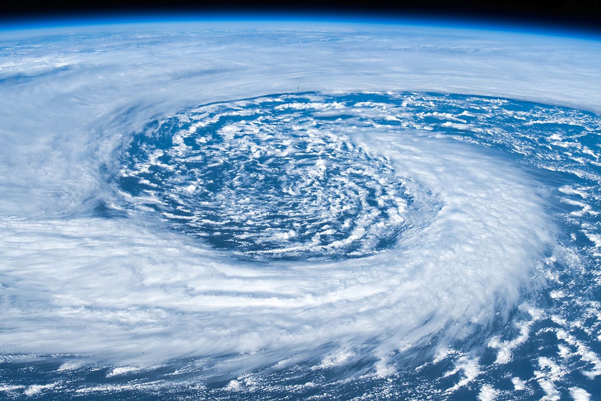 what-happens-to-birds-during-tropical-storms