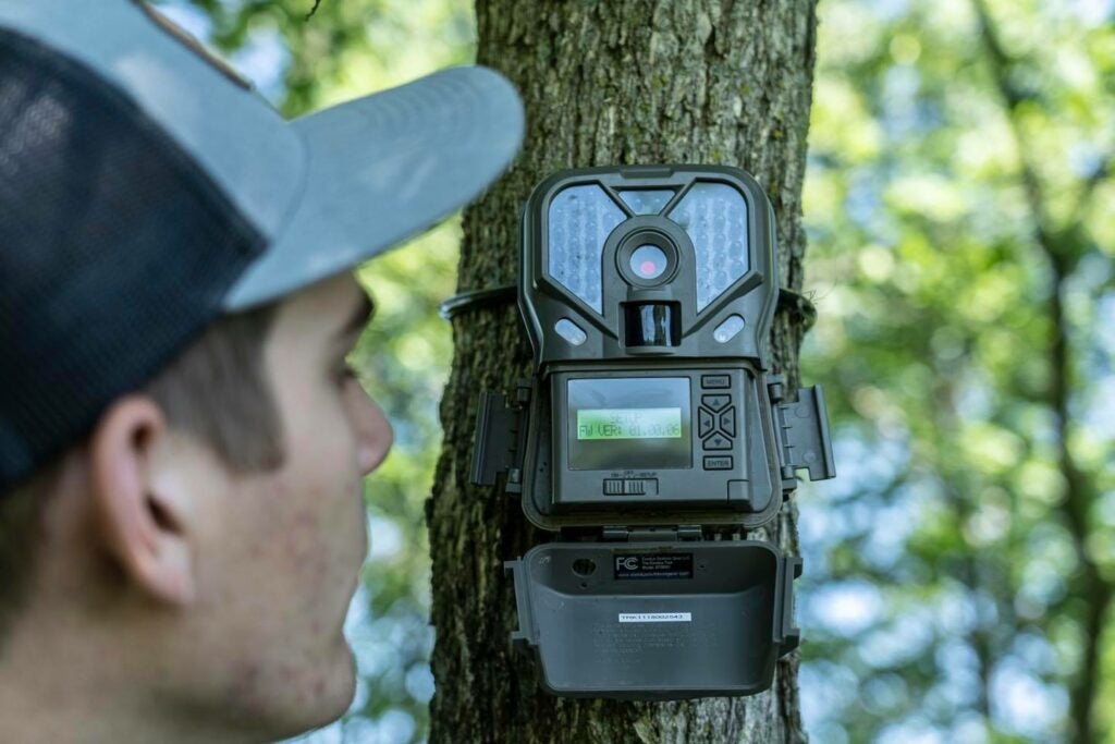 Where to mount a trail camera is on a tree