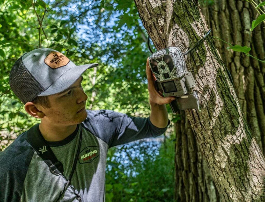 Checking where to mount a trail camera
