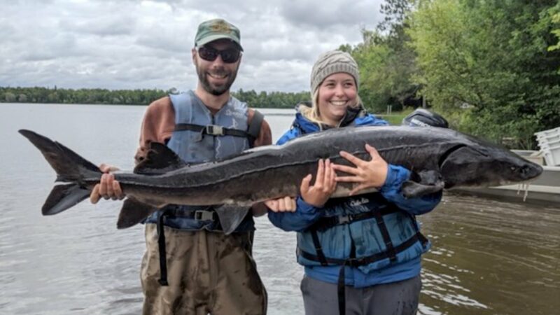WI Daily Update: Lake Winnebago sturgeon spearers must purchase a spearing license by Oct. 31 – Outdoor News