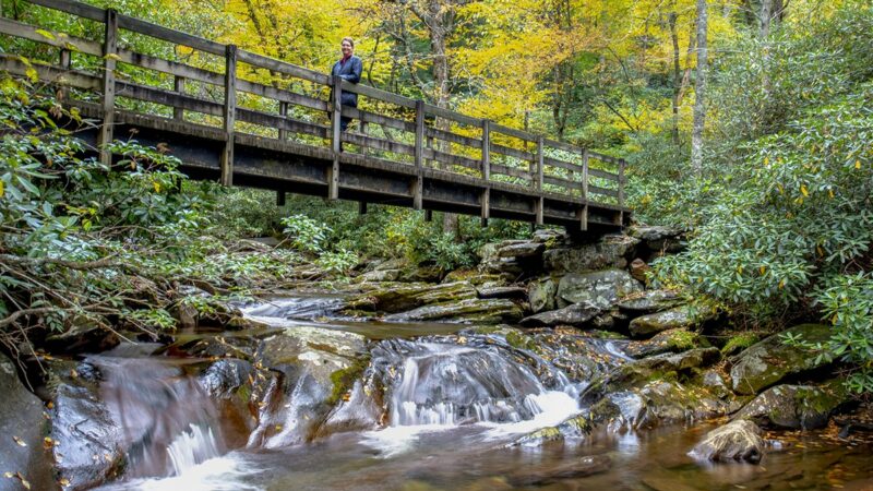 5 Things You Didn’t Know About Hiking In Tennessee
