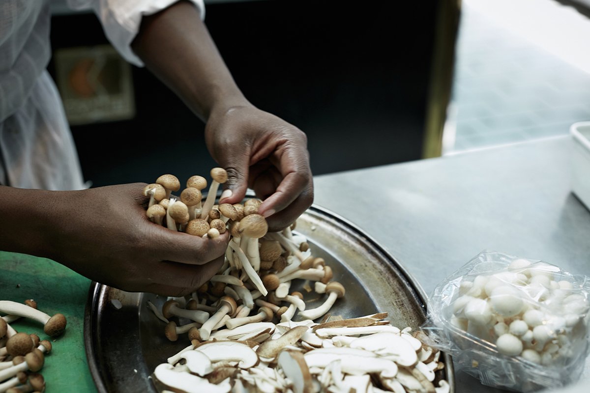 tips-for-preparing-foraged-mushrooms