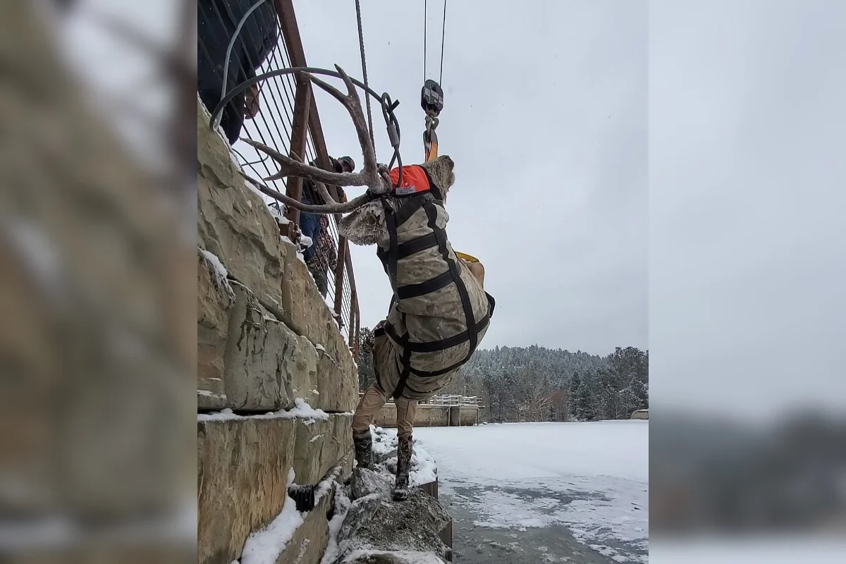 icy lake rescue