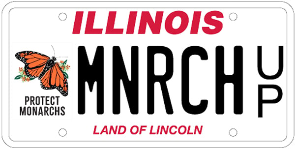 After long wait, Illinois license plate available to help monarch butterflies – Outdoor News