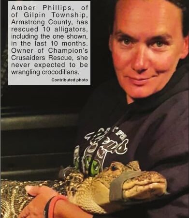 Armstrong County woman learns to rescue alligators – Outdoor News