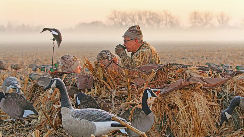 As duck hunting ends in Minnesota, late goose heats up – Outdoor News