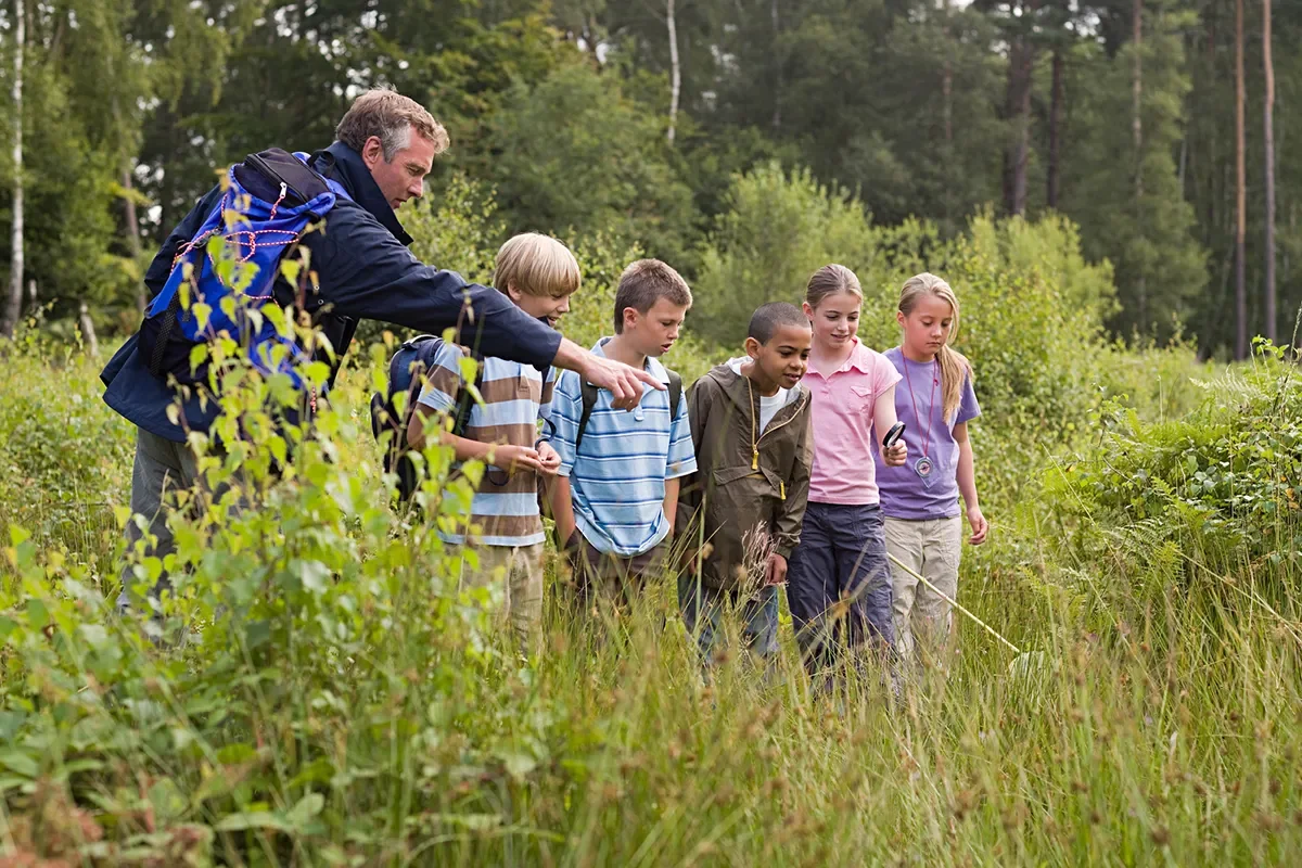 bear-grylls-golden-rules-for-foraging