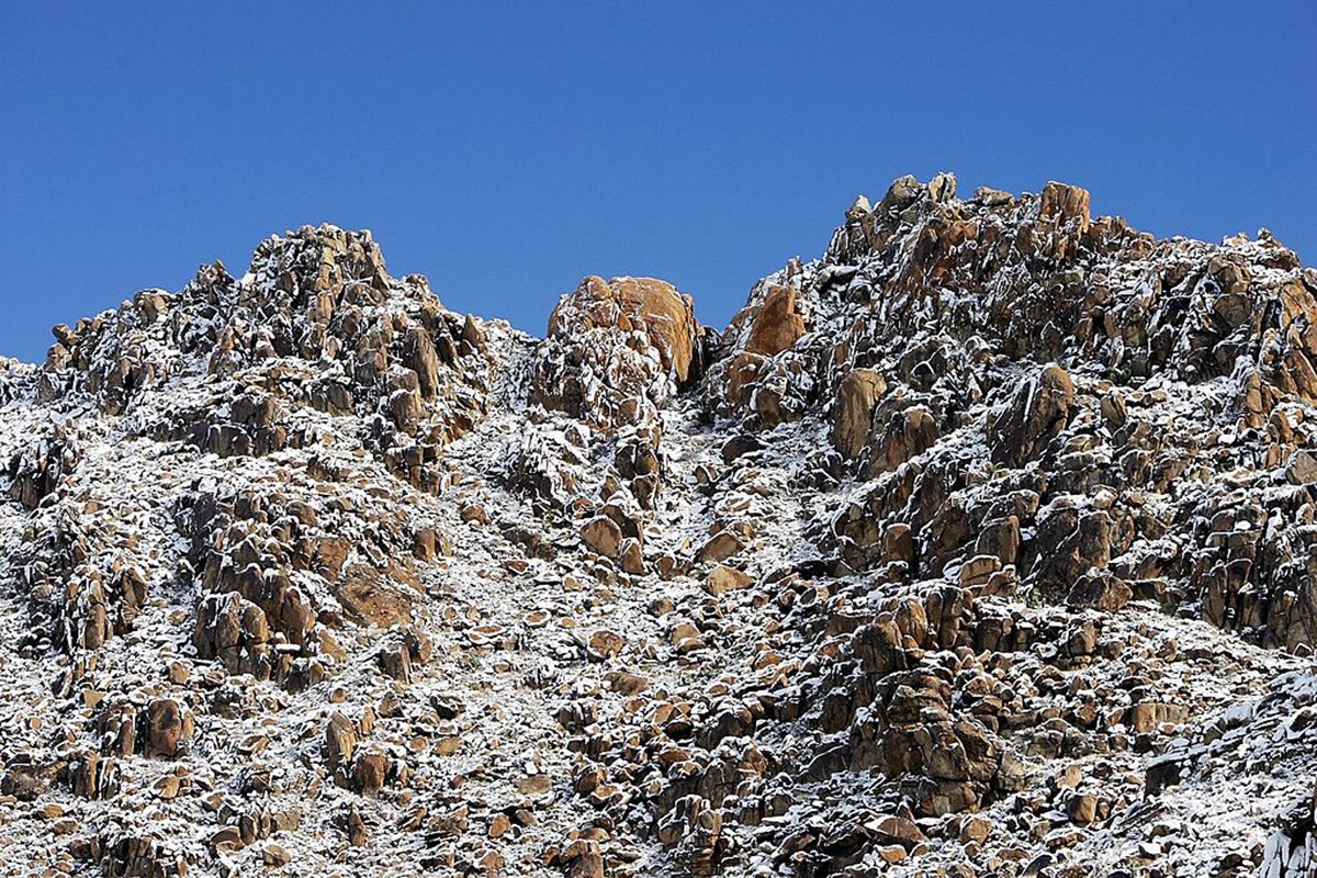 best-things-to-do-in-joshua-tree-winter