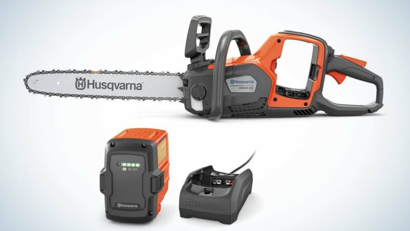 Black Friday Deals on Electric Chainsaws