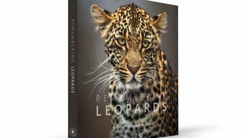 Book Series Leverages Wildlife Photography for Conservation: A Q&A with ‘Remembering Wildlife’ Founder Margot Raggett