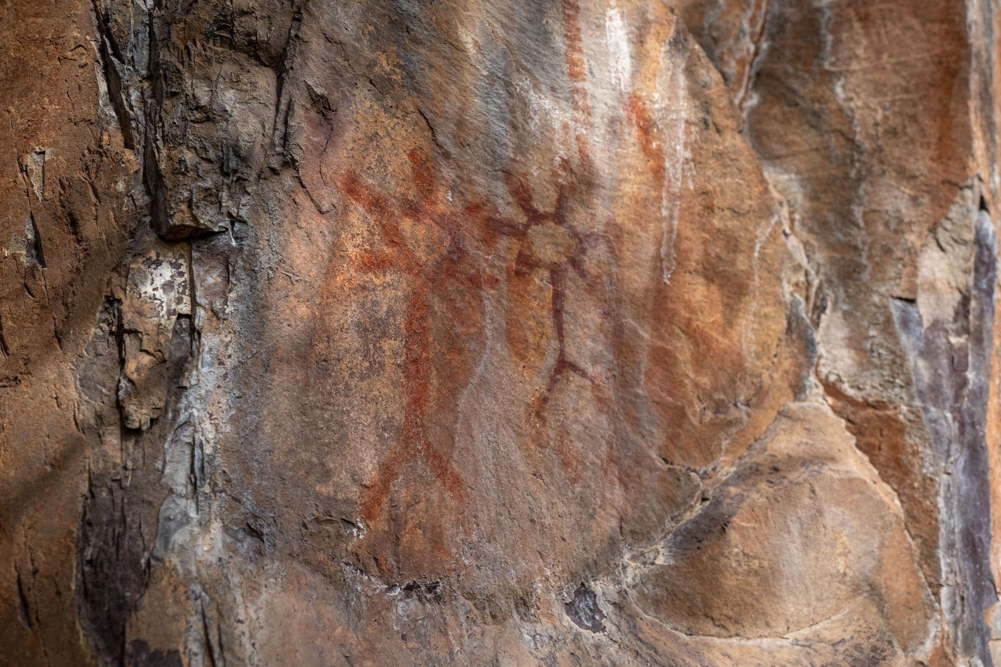 These pictographs can be found just upriver from the Cooper's Ferry Site.