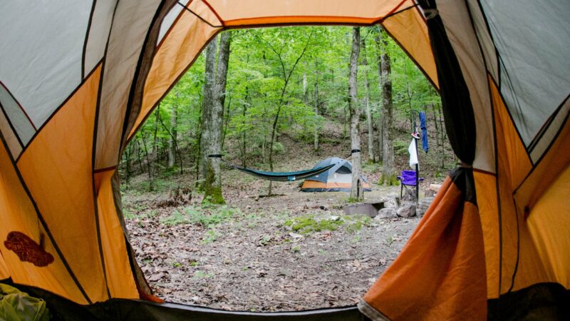 Fishing and Camping: the Perfect Arkansas State Park Combo