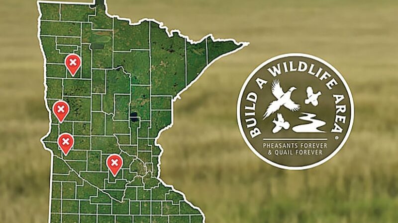 Four new Build a Wildlife Area projects now under way in Minnesota – Outdoor News