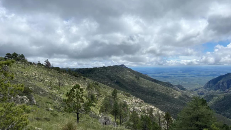‘Hold on to Hope’: How a Missing Hiker Survived for 5 Days in Guadalupe Mountains National Park