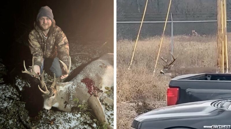 Minnesota Hunter Tags Triple-Beamed ‘Unicorn’ Buck