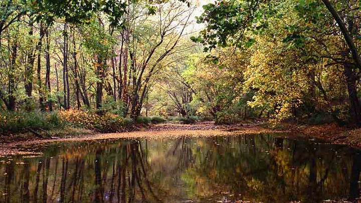 MN Daily Update: Get into state parks for free this Friday – Outdoor News