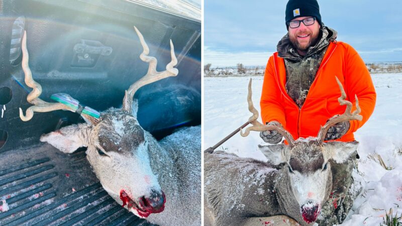 Montana Hunter Tags Unusual “Corkscrew” Buck