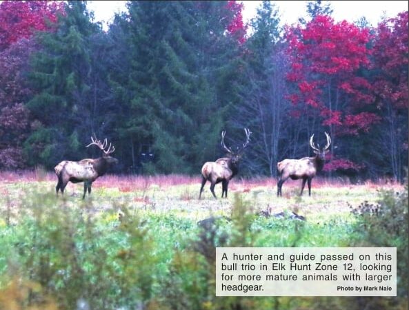 Rain puts a damper on opening day of Pennsylvania’s elk season – Outdoor News