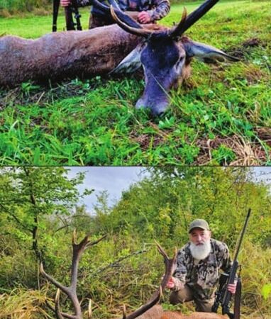 Reader Story: A Red Stag Hunt in Romania for Two Michigan Men – Outdoor News