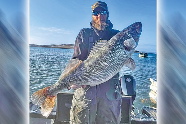South Dakota walleye record falls again as Pierre angler catches nearly 18-pound fish – Outdoor News