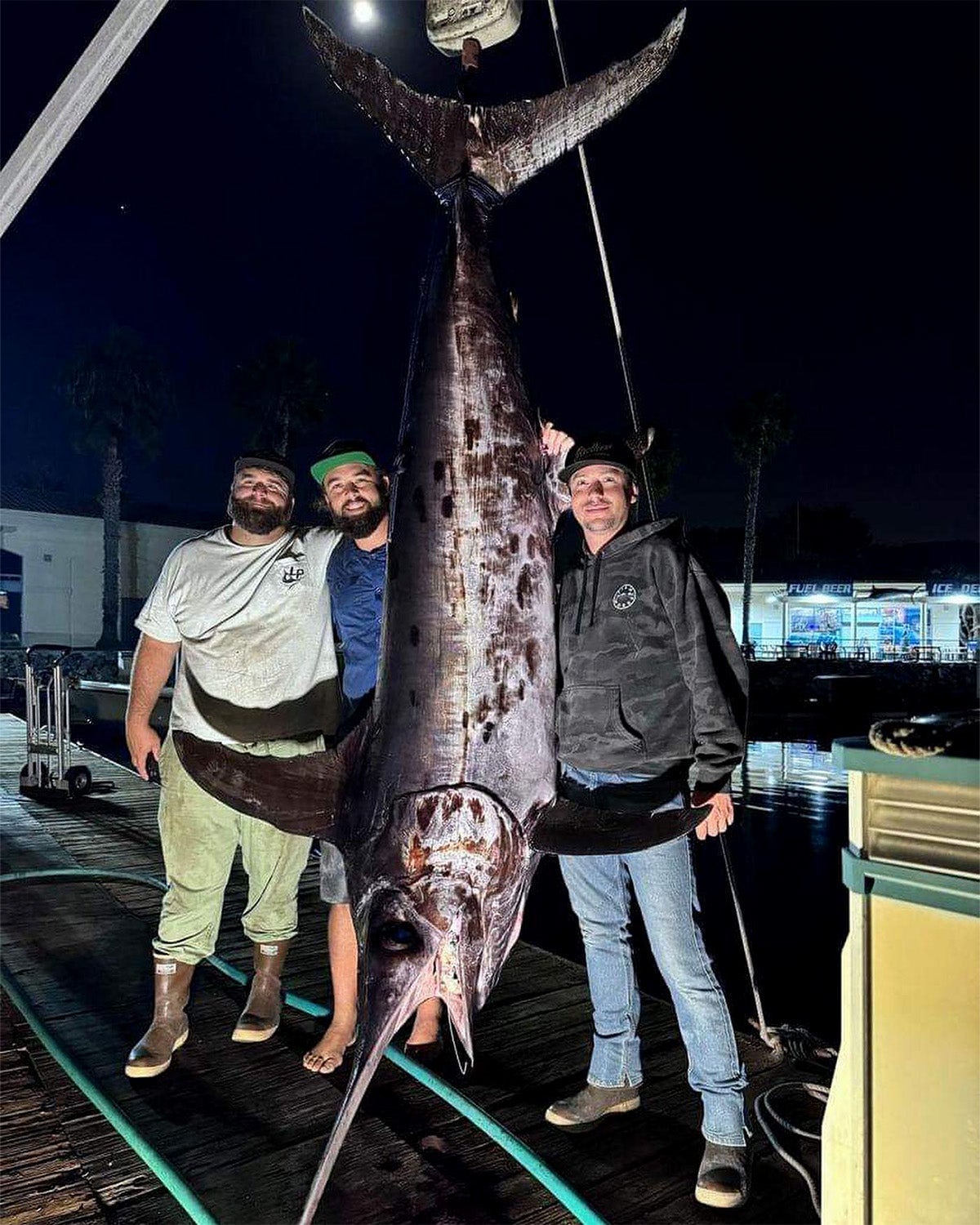 california swordfish record 2