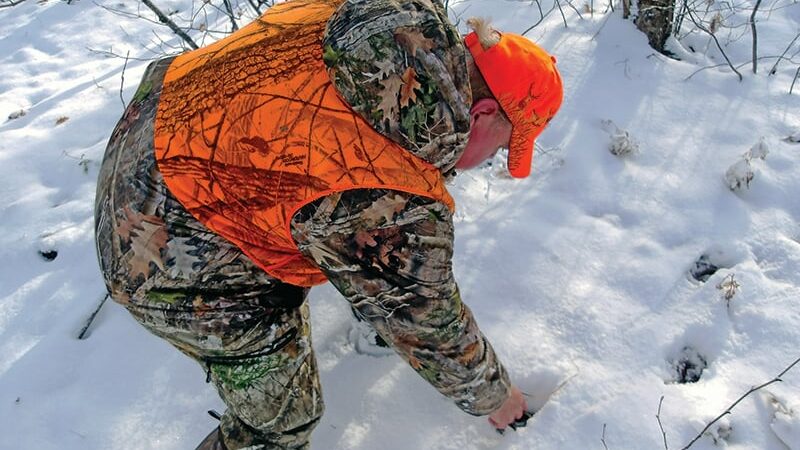 Still-hunting the big woods of Maine provides valuable lessons – Outdoor News